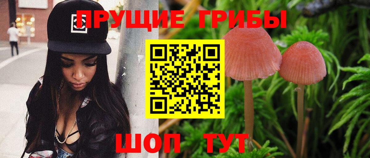 Галлюциногенные грибы GOLDEN TEACHER  Вход с VPN  Арзамас 