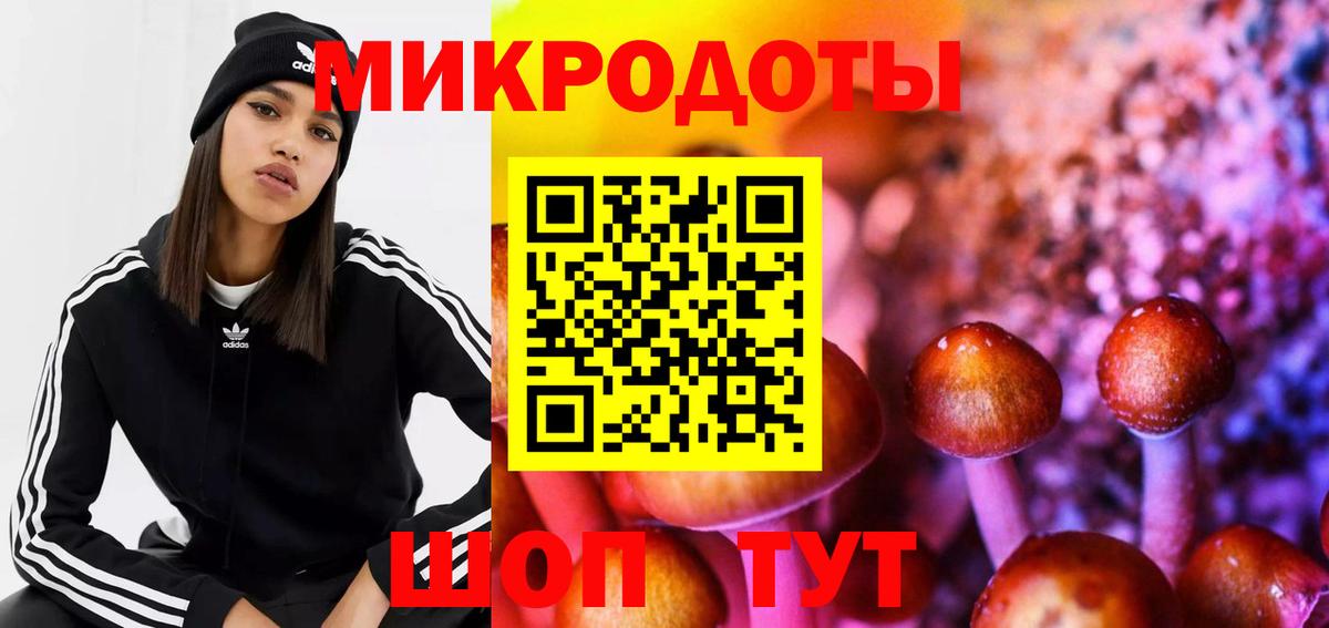 Псилоцибиновые грибы ЛСД Арзамас